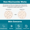 Paula’s Choice Niacinamide Face Toner, Combination or Oily Skin(Jumbo Size – 12 Fl Oz)